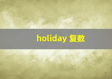 holiday 复数